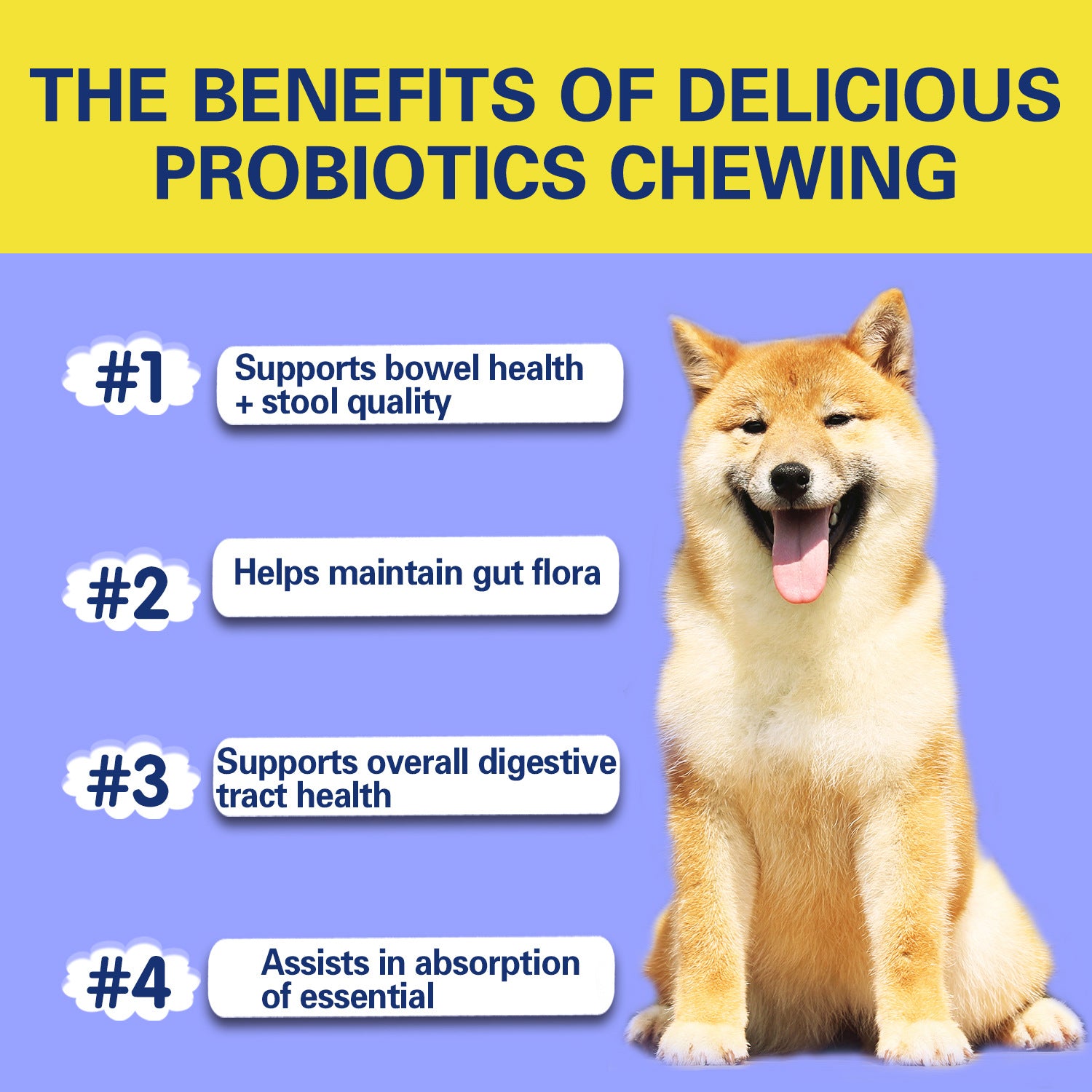 Pet Probiotic Chews