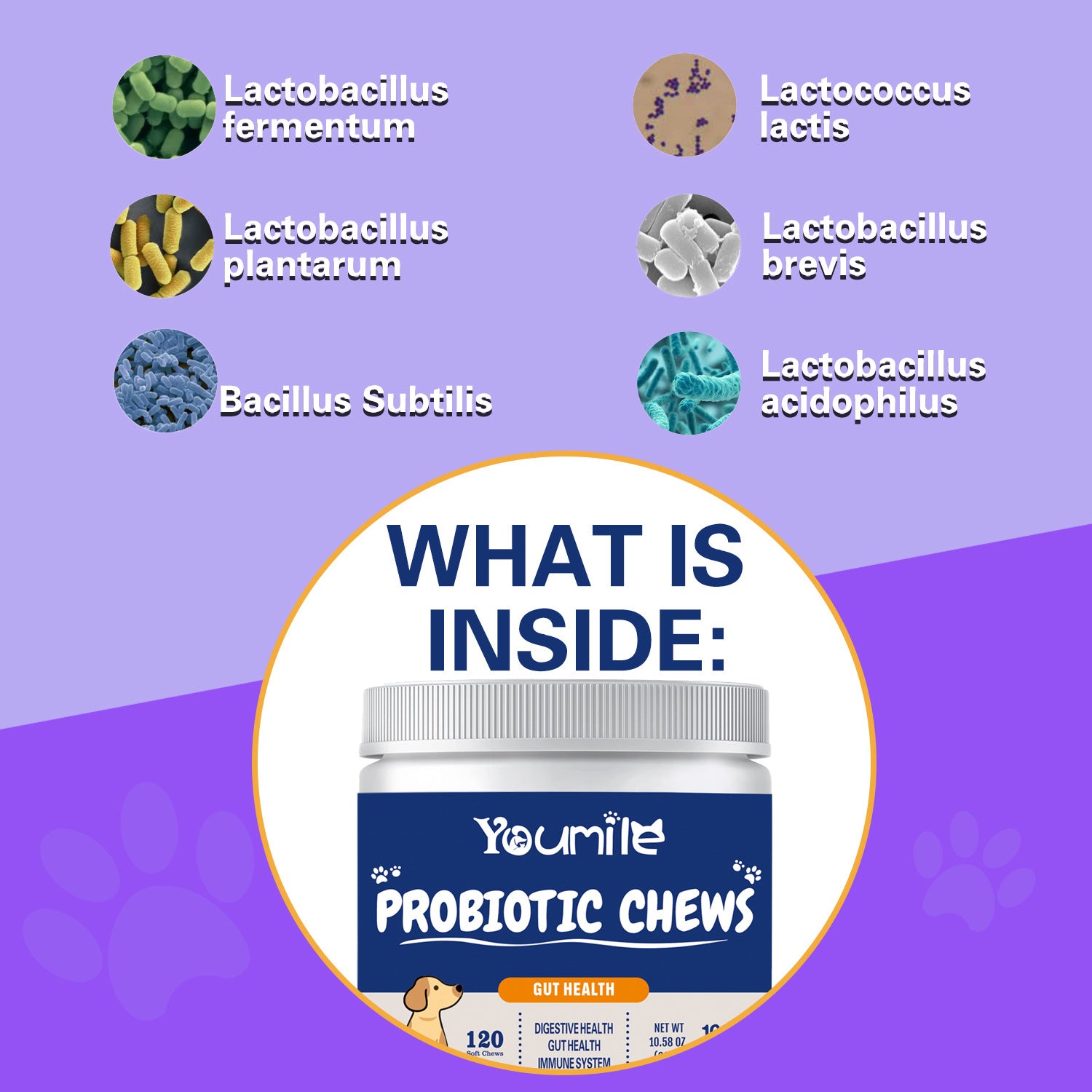 Pet Probiotic Chews