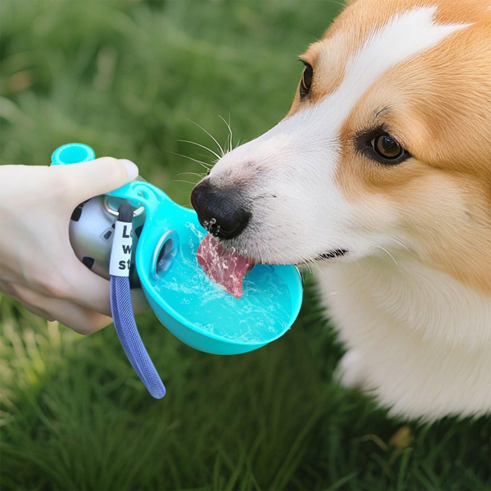 WagSip 2-in-1 Pet Hydration Bottle