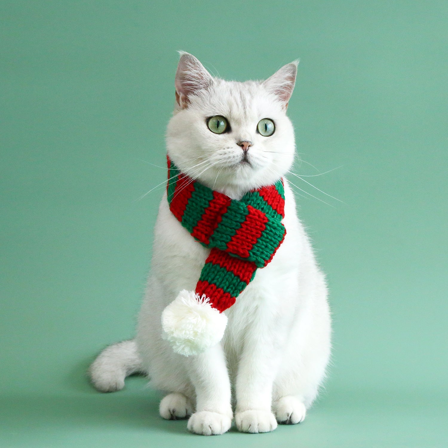 Knitted Striped Pet Christmas Scarf